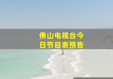 佛山电视台今日节目表预告