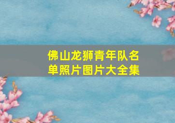 佛山龙狮青年队名单照片图片大全集