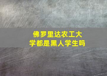 佛罗里达农工大学都是黑人学生吗