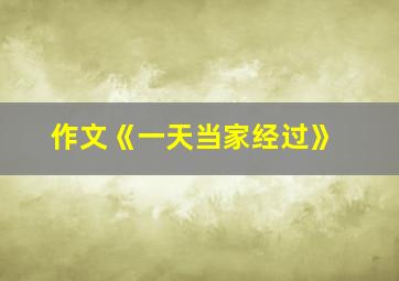 作文《一天当家经过》