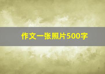 作文一张照片500字