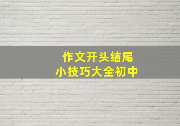 作文开头结尾小技巧大全初中