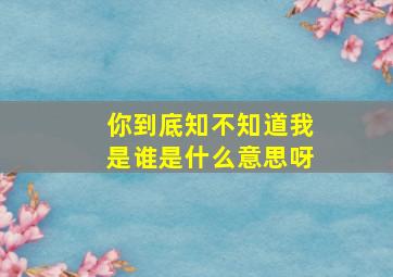 你到底知不知道我是谁是什么意思呀