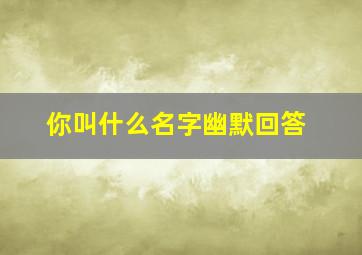 你叫什么名字幽默回答