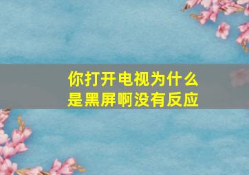 你打开电视为什么是黑屏啊没有反应