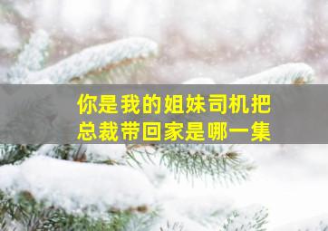 你是我的姐妹司机把总裁带回家是哪一集