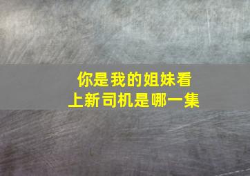 你是我的姐妹看上新司机是哪一集