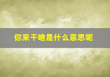 你来干啥是什么意思呢