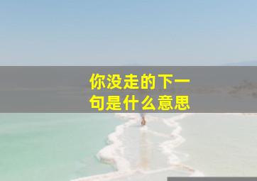 你没走的下一句是什么意思