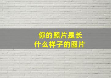 你的照片是长什么样子的图片