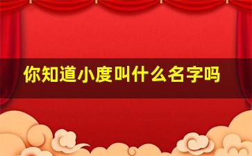 你知道小度叫什么名字吗