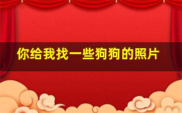 你给我找一些狗狗的照片