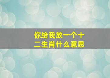 你给我放一个十二生肖什么意思