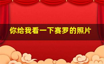 你给我看一下赛罗的照片