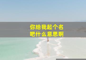 你给我起个名吧什么意思啊