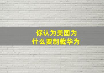 你认为美国为什么要制裁华为