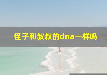 侄子和叔叔的dna一样吗