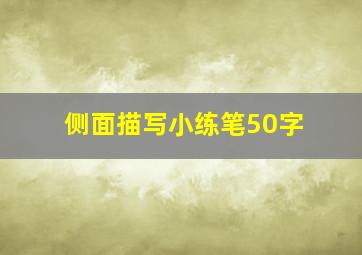 侧面描写小练笔50字