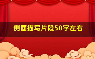 侧面描写片段50字左右