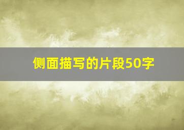 侧面描写的片段50字