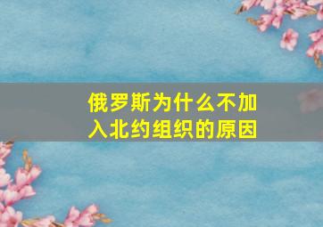 俄罗斯为什么不加入北约组织的原因