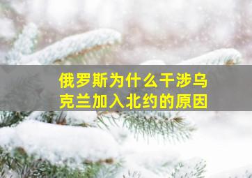 俄罗斯为什么干涉乌克兰加入北约的原因