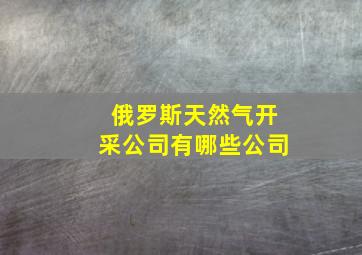 俄罗斯天然气开采公司有哪些公司