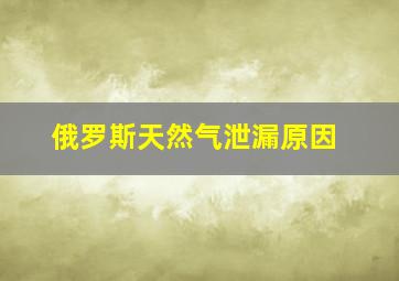 俄罗斯天然气泄漏原因