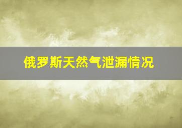 俄罗斯天然气泄漏情况