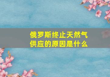 俄罗斯终止天然气供应的原因是什么