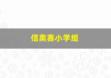 信奥赛小学组