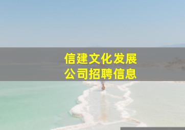 信建文化发展公司招聘信息