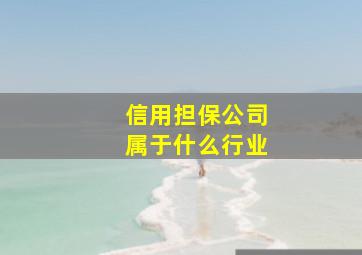 信用担保公司属于什么行业