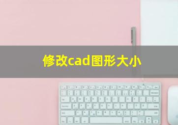 修改cad图形大小