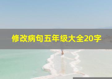 修改病句五年级大全20字