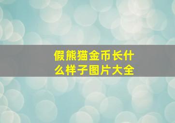 假熊猫金币长什么样子图片大全