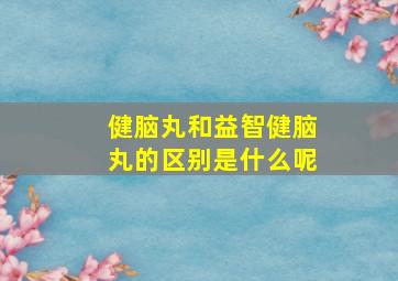 健脑丸和益智健脑丸的区别是什么呢