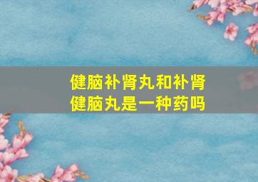 健脑补肾丸和补肾健脑丸是一种药吗