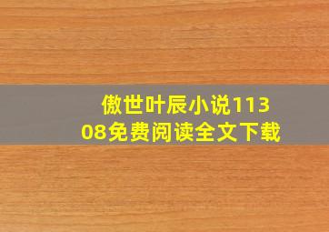 傲世叶辰小说11308免费阅读全文下载