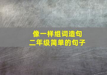 像一样组词造句二年级简单的句子