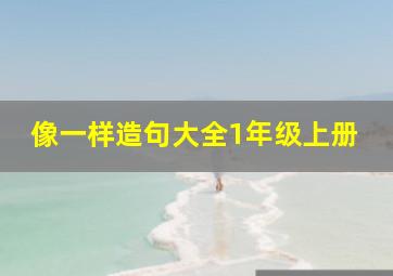 像一样造句大全1年级上册