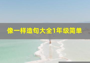 像一样造句大全1年级简单