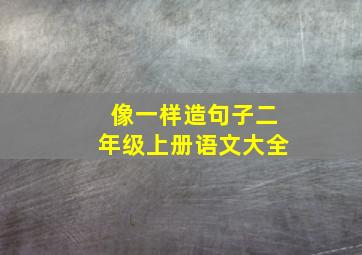 像一样造句子二年级上册语文大全