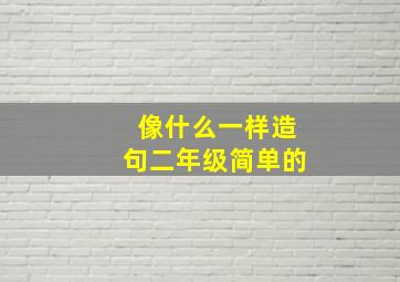 像什么一样造句二年级简单的