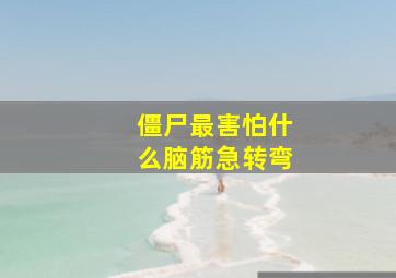 僵尸最害怕什么脑筋急转弯