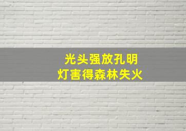 光头强放孔明灯害得森林失火