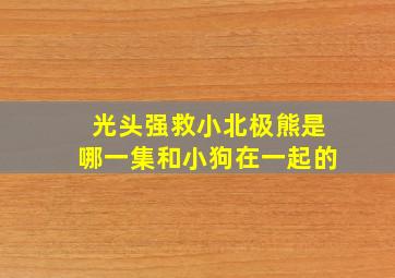 光头强救小北极熊是哪一集和小狗在一起的