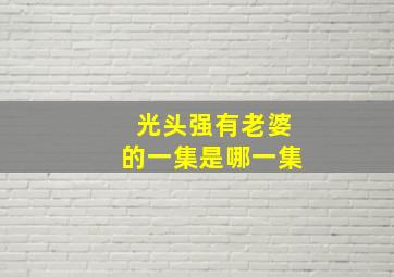 光头强有老婆的一集是哪一集