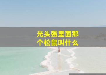 光头强里面那个松鼠叫什么