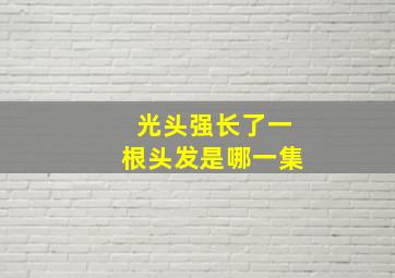 光头强长了一根头发是哪一集